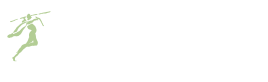 New Ireland logo